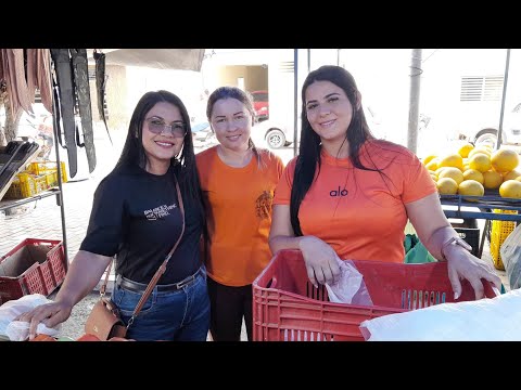 Feira livre da Cidade de Frei Miguelinho Pernambuco 01/09/2026.