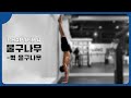 벽 물구나무를 먼저 서라!