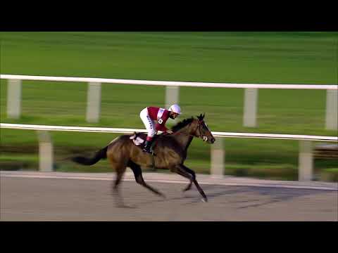 210214 c08 TRAIDORA N