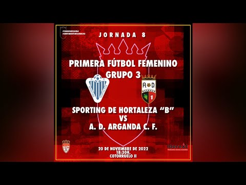 J8 A.D. SPORTING DE HORTALEZA B 2-5 A.D. ARGANDA C.F. (GOLES)