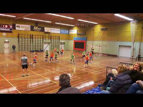 Westlandia handbal