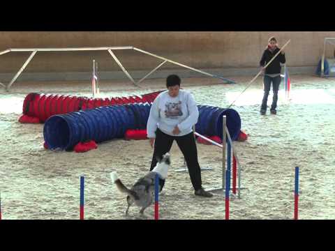 Blue 2 Kaiseraugst 22 01 2011