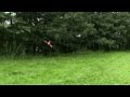 Hajen And Hillebille S Mini Tris RC Tricopters