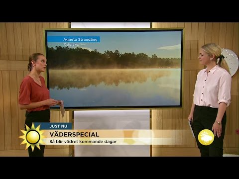 Väderspecial: "Fram med paraplyerna i veckan" - Nyhetsmorgon (TV4)