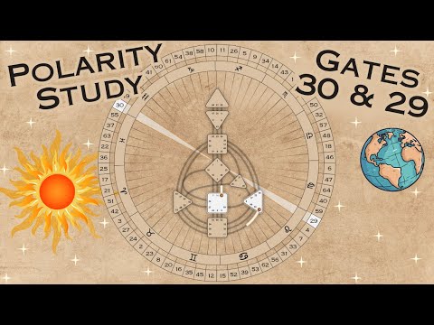 ~ Gates 30/29 ~ Polarity Exploration ~