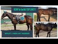 WHAT I FEED MY HORSES Feeding To Build Topline
