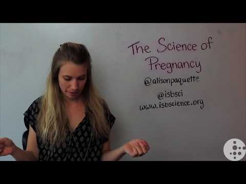 Common pregnancy complications