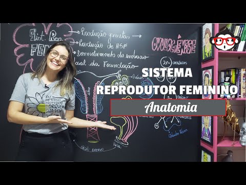 Anatomia Humana | Sistema Reprodutor Feminino 🐵📚