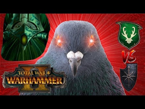 Wood Elves vs Chaos | WATCHING THE WAY - Total War Warhammer 2