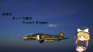 空飛ぶゆっくり傭兵「Project Wingman」Part1