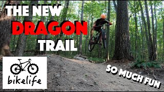 The Dragon Trail