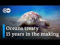 UN secures landmark deal to protect the world's oceans | DW News