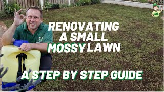 Renovating a small lawn (full of moss down one side)