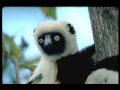 Babe - Sudar S' Novim Momkom 