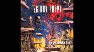 Skinny Puppy - Harsh Stone White [Live In Denver]