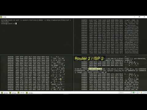 Using Tcpdump on the Tor network