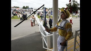 Does the whip hinder horse racing?