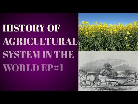 , title : 'HISTORY OF AGRICULTURE IN THE WORLD#1||HISTORY AGRICULTURE ||USMAN RAO@FEW LIVE'