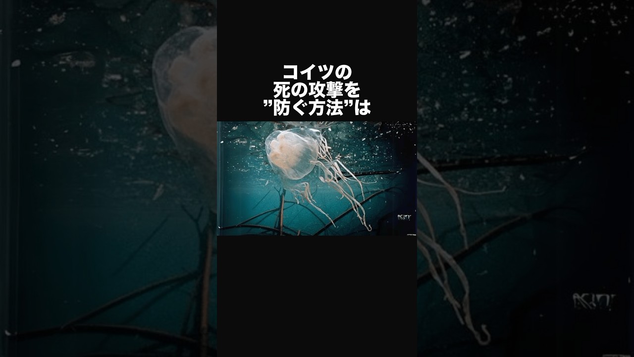 キロネックスに関する面白い豆知識