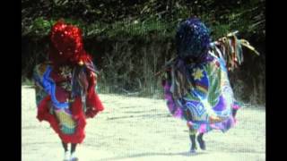 *MARIA BETHANIA-*SALVE AS FOLHAS-(*BRASILEIRINHO)