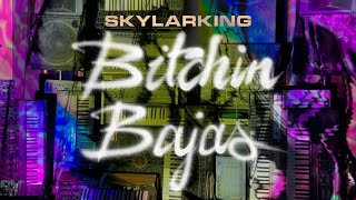 Bitchin Bajas "Skylarking" (Official Visualizer)