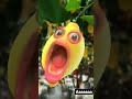 Aaaa Aaaa Aaaaa Aaaaa Aas Aaaaaaa Aaaaaaa Aaaa