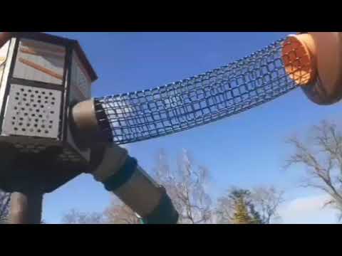 Bata Teinamati Kiribati 🇰🇮 song