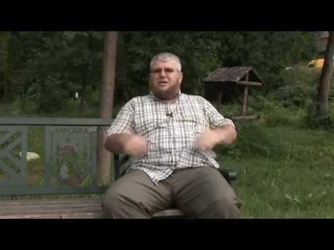 Mëshira e Allahut të Madhëruar - Irfan Salihu