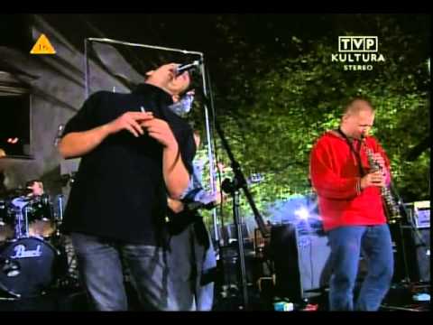 Świetliki "koncert na placu marii magdaleny - zespół nazywa się świetliki"