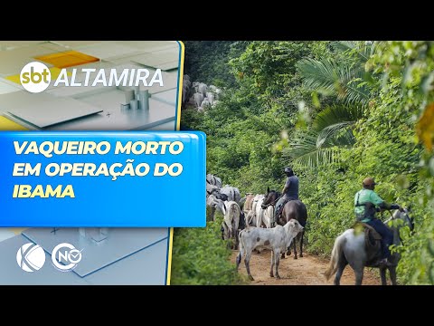 Vaqueiro morre em emboscada durante operação do IBAMA no Pará | SBT Altamira