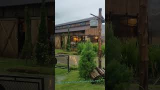 Download lagu So amazing Rustic Market Trawas, Mojokerto, Jawa Timur in the rain | Natural cafe at east java mp3 Download lagu So amazing Rustic Market Trawas, Mojokerto, Jawa Timur in the rain | Natural cafe at east java mp3