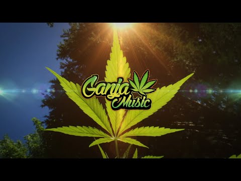 Conkarah - Ganja Love (Jason Derulo & Jawsh 685 - Savage Love Cover)