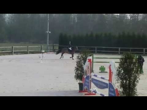 Vanille de sarty - Basècles - 1.15m