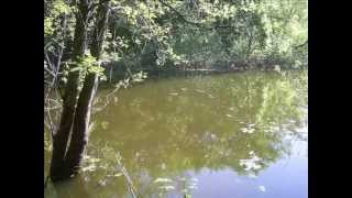 Sleep Music (Brahms and Panflute)