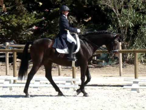 Carminho Marcelino e Tim - Juniors Individual SHP 8/09/16