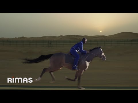 Miniatura de GRACIAS POR NADA