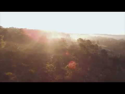 "Extrait du morceau "Genese" Album " Wa "Mel Malonga