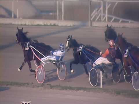 Trotto 30/12/2018 - 2ª corsa