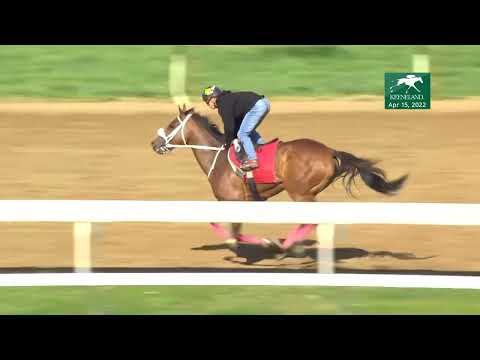 Letruska works on April 15, 2022