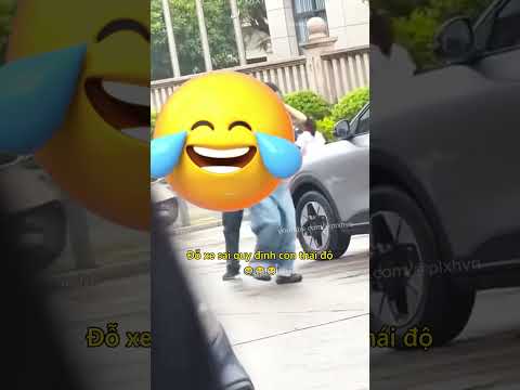 Đỗ xe sai quy định còn thái độ 😂 #giaothong #vanhoagiaothong #phunu #haihuoc #giaitri