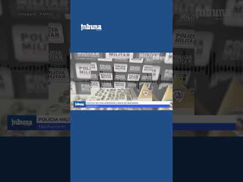 Polícia Militar apreende 29 tabletes e 4 barras de maconha em Manhumirim