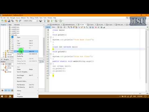 Java Class 9 Inheritance