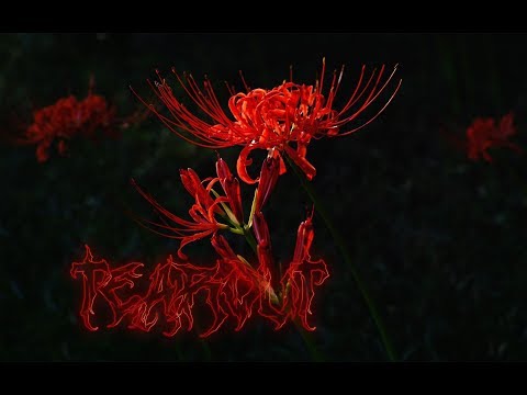 Kronomikal - COLLIDER [CLIP]