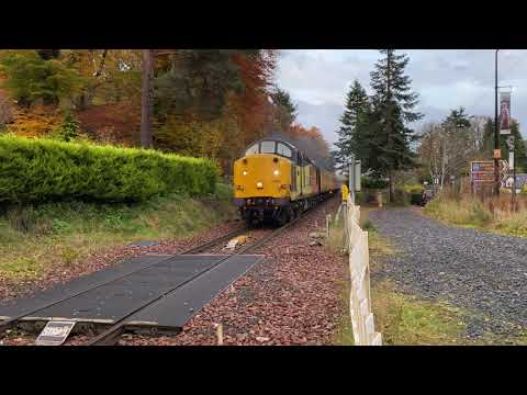 37116/219 - 1Q77 - Pitlochry