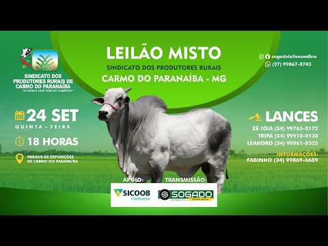 LEILÃO MISTO - SINDICATO DOS PRODUTORES RURAIS DE CARMO DO PARANAÍBA/MG - 24/09/2026