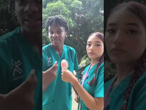 # última hora erupción volcánica en apartado Antioquía