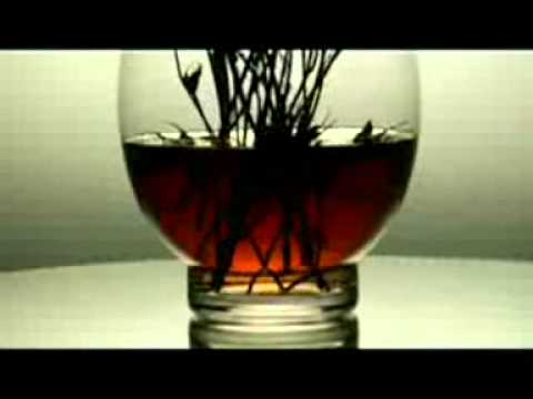 Timberland ft. One Republic - Apologize