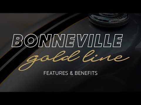 2022 Triumph Bonneville T120 Black Gold Line in Charleston, South Carolina - Video 1