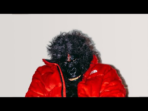 Video thumbnail for gangster rapper punk rockstar