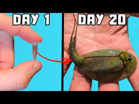 I Hatched And Raised Dinosaurs (250 Million Years Old)